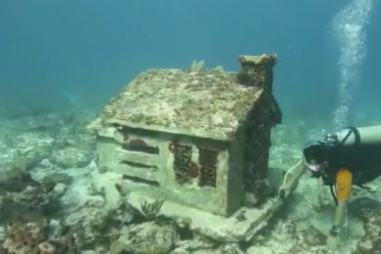 Hrabri ronioci iz Srbije istražuju podvodne lepote širom sveta