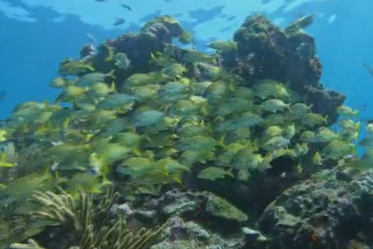 Veličanstvenost Karipskog mora