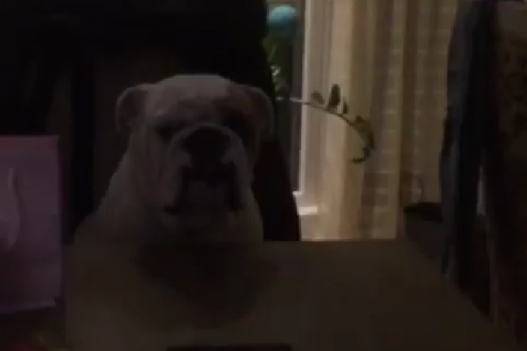 Ana Ćurčić Instagram