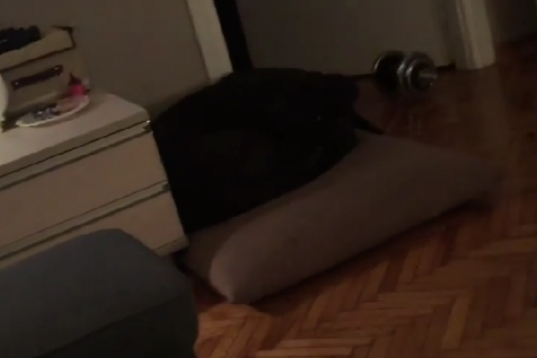 Ana Ćurčić Instagram