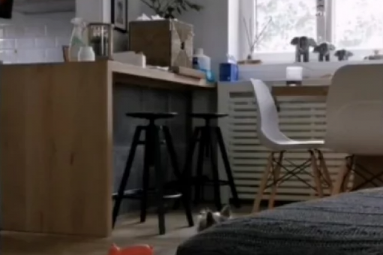 Anđelka Prpić uredila stan od poda do plafona