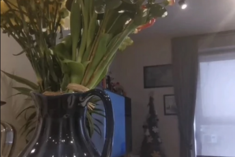 Anđelka Prpić uredila stan od poda do plafona