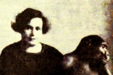 ŽENA JE UDOMILA GORILU NE SLUTEĆI VELIKU TRAGEDIJU: Gledala je na njega kao na sina, a onda je nastala AGONIJA!