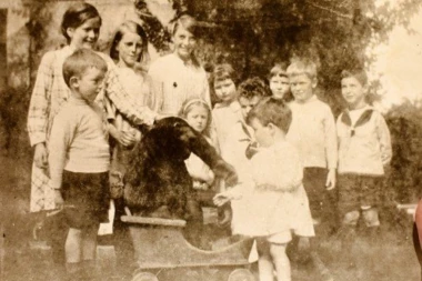 ŽENA UDOMILA GORILU I VASPITALA GA KAO SVOJE DETE - A ONDA AGONIJA: Džon Danijel prao sudove i pio jabukovaču, a kraj je bio TRAGIČAN