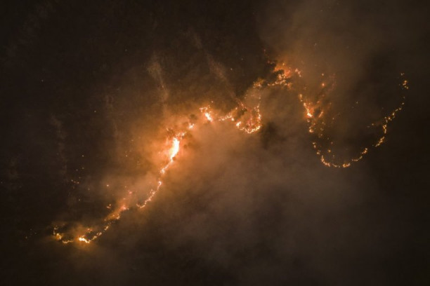 KATASTROFALAN POŽAR U ČILEU: Vatra guta 300 HILJADA hektara šuma, poginulo više od 20 ljudi, a povređeno preko DVE HILJADE (FOTO)