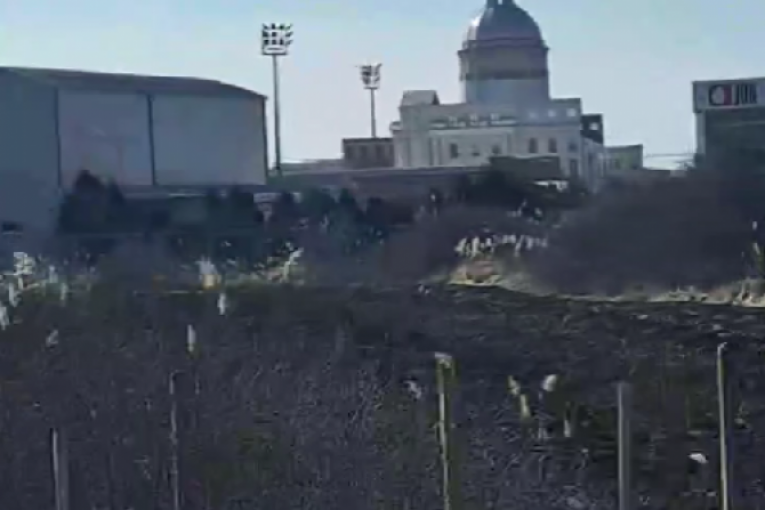 Taki Marinković Instagram