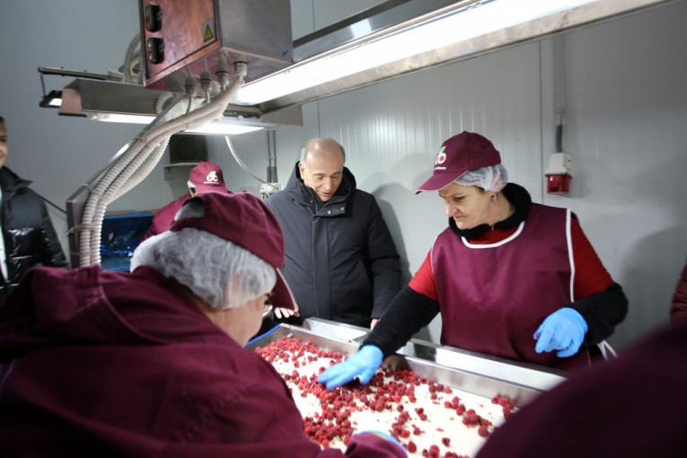 Milan Krkobabić u Lebanu