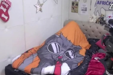 BRZINSKA VRELA AKCIJA CARA I ALEKS! Nikolićeva naskočila na Filipa i pružila mu vrhunski užitak! (VIDEO)