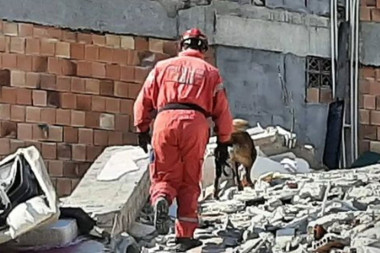 TUGA DO NEBA! PAS NASTRADAO NA ZADATKU U TURSKOJ: Na heroja Protea se obrušile ruševine - prethodno iz njih spasao dvoje ljudi (FOTO)