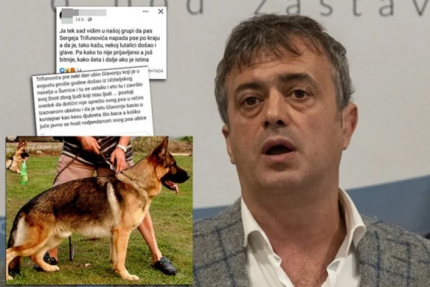 SERGEJEV PAS UBIO DRUGOG PSA?! Jezive optužbe na račun poznatog glumca: Trifunovićev vučjak napadao i decu?!