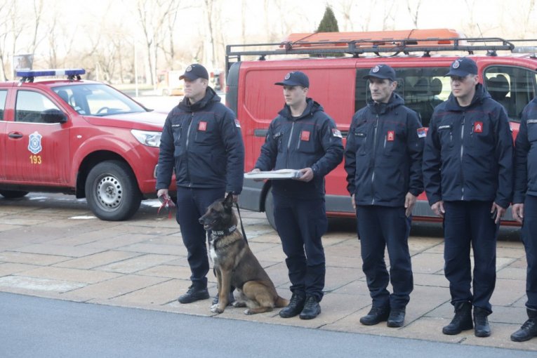 Pas Zigi sa spasiocima