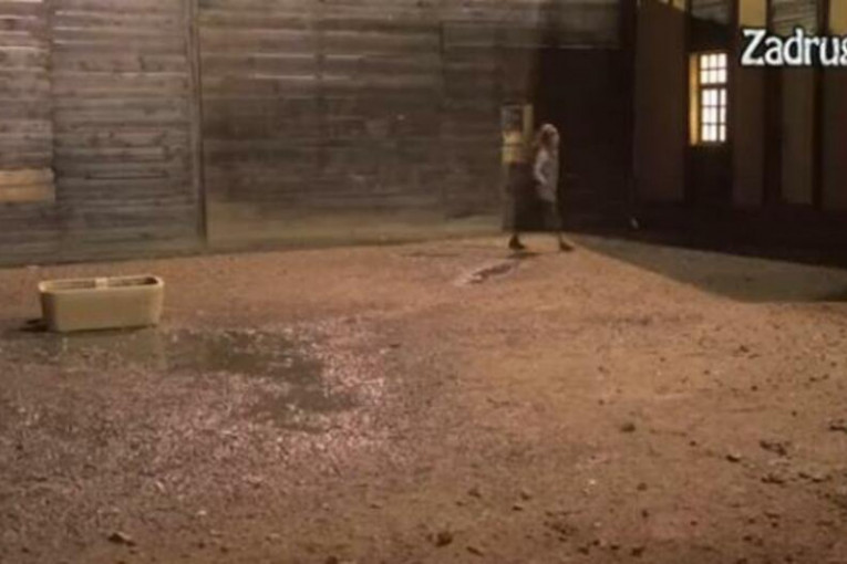 Ana Ćurčić juri Zvezdana Slavnića