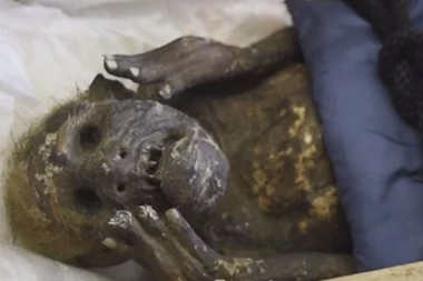 MISTERIJA STARA 300 GODINA KONAČNO REŠENA: Evo šta je zbunjivalo naučnike u vezi sa mumificiranom sirenom ljudskog lica