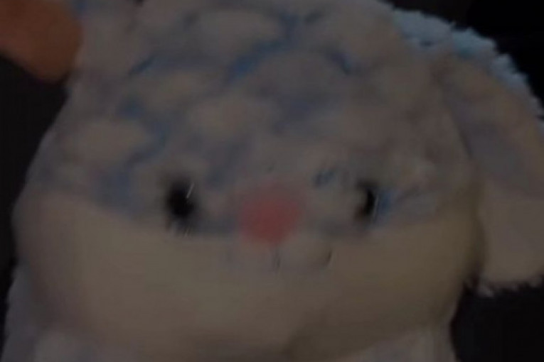 Teodora Džehverović Instagram