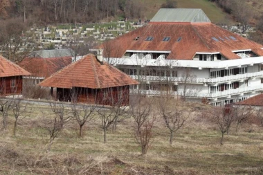 DVE KRVOLOČNE ZVERI TERORIŠU STANOVNIŠTVO, MEŠTANI KOŠTUNIĆA U STRAHU: Nek neko dođe da spreči tragediju, dok ne bude KASNO!