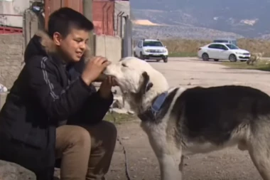 PAS SPASAO ŽIVOT DEČAKU! Reagovao je kao čovek! Još jedno čudo u Turskoj! (VIDEO)