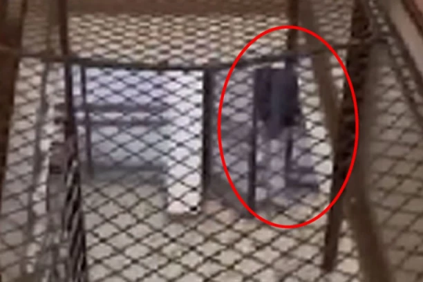 DOSTAVLJA HRANU I MOKRI PO ZGRADAMA! Šokantan snimak iz jedne novobeogradske zgrade! (VIDEO)