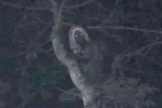 PREDSEDNIK MEKSIKA ŠOKIRAO: Ovo je dokaz da postoje mali šumski PATULJCI! (FOTO)