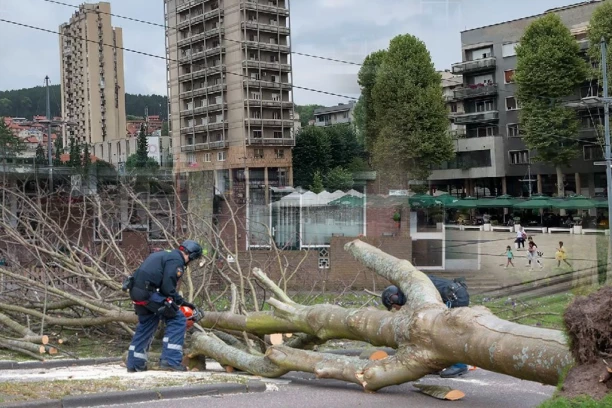 UŽAS U UŽICU! ŽENA I TROJE DECE POVREĐENI: Obrušilo se ogromno stablo, samo se čuo vrisak!