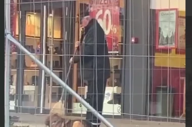 Radnik obezbeđenja udara psa metlom u Zemun parku! Navodno, lutalica pre toga ujela radnicu Pet centra! (VIDEO)