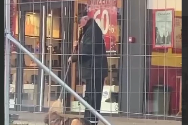 Radnik obezbeđenja udara psa metlom u Zemun parku! Navodno, lutalica pre toga ujela radnicu Pet centra! (VIDEO)