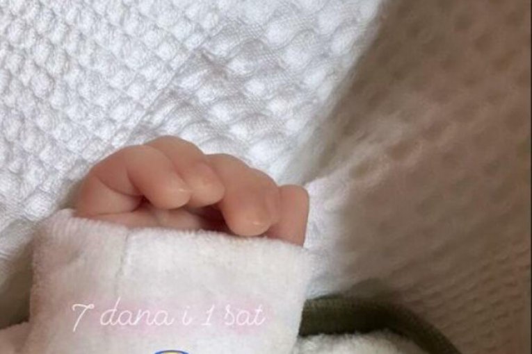 Jelena Radanović Instagram