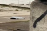 PRONAĐENO TELO ISPOD BRANKOVOG MOSTA! Policija na licu mesta!
