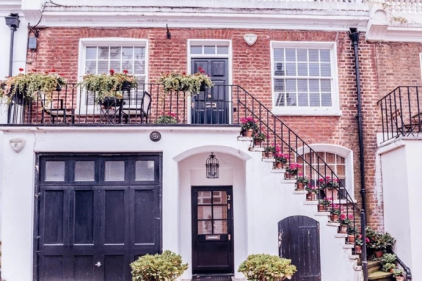 OVU BILJKU SVAKA KUĆA MORA DA IMA: Kažu da SIGURNO donosi novac, ali morate paziti na jednu stvar