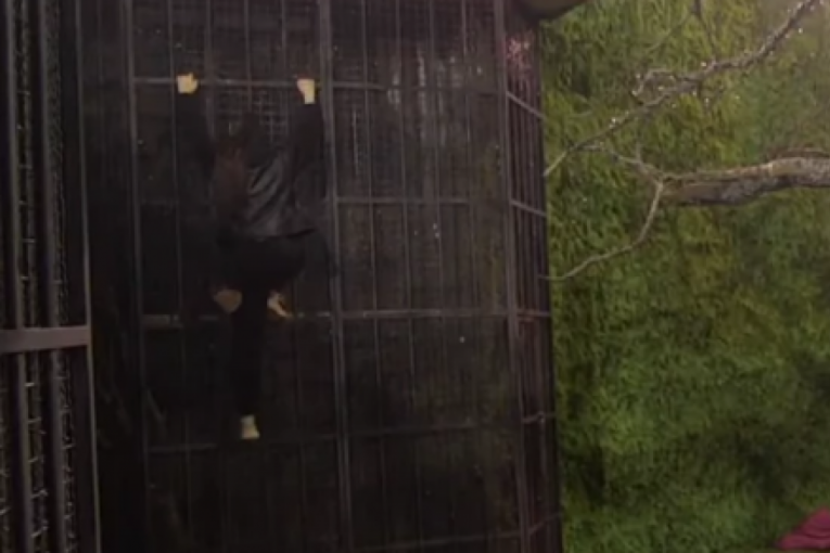 Anđela Đuričić beži iz Zadruge 6