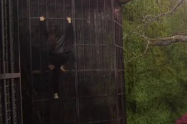 ANĐELA ĐURIČIĆ BEŽI IZ ZADRUGE: Zvezdan se zaleteo za njom, drama u Šimanovcima! (FOTO)