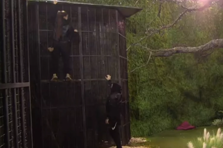 Anđela Đuričić beži iz Zadruge 6