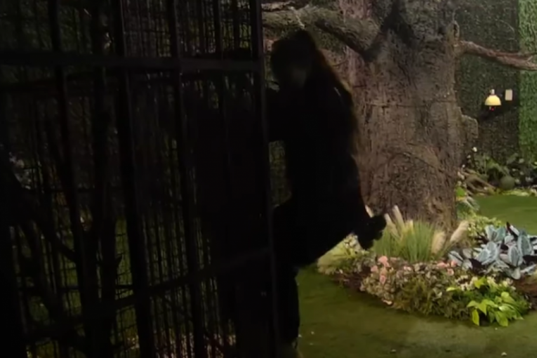 Anđela Đuričić beži iz Zadruge 6