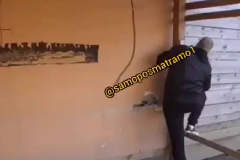 Zvezdan Slavnić  se šunja po imanju