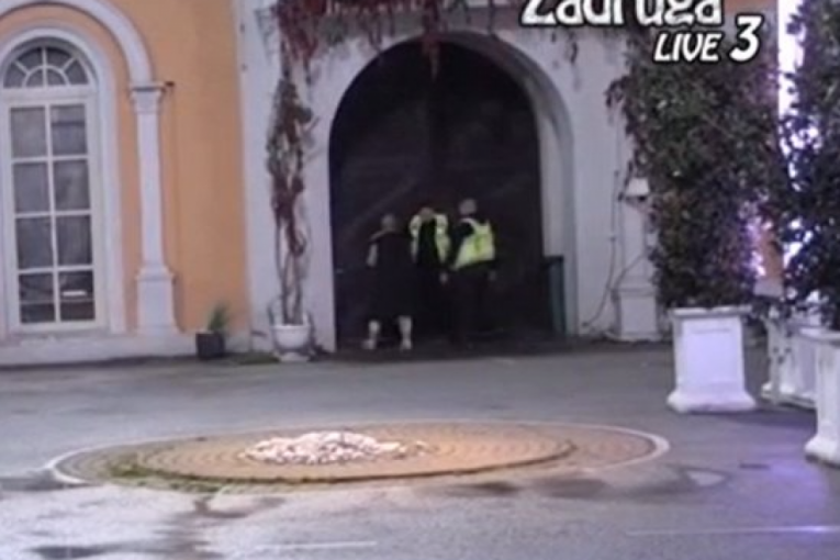 Miljana Kulić pravila haos po imanju, pa pokušala da se otruje omekšivačem Zadruga 6