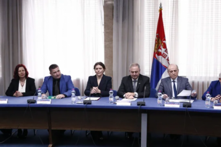 Zasedanje na međunarodnoj konferenciji 