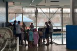 Počela besplatna obuka plivanja za voždovačke predškolce