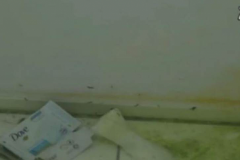 Zadruga 6 prljavština i đubre po Beloj kući