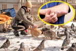 NOVA ZARAZA! STIŽU MAČJE GLJIVICE: Lako se prenose, a teško leče