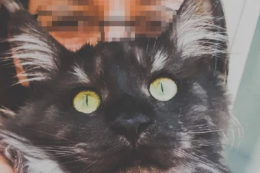 ZAVERA MEĐUNARODNIH RAZMERA: Marija se predstavljala kao fotograf i vlasnica radnje ručnih radova, a onda je otkriveno OVO!