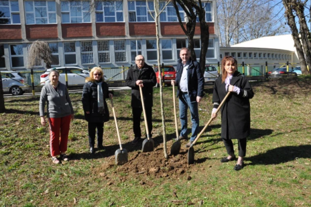 ZAŠTITA ŽIVOTNE SREDINE I OZELENJAVANJE PRIMARNI FAKTOR  U DALJEM RAZVOJU OPŠTINE: Savski venac bogatiji za 20 stabala!
