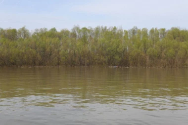 NEPOZNATA OSOBA UPALA U KOLUBARU: Ronioci pretražuju korito reke!