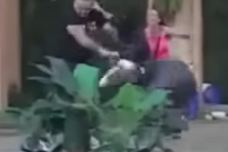 Filip Car i Maja Marinković Zadruga 6 žestoka svađa i tuča