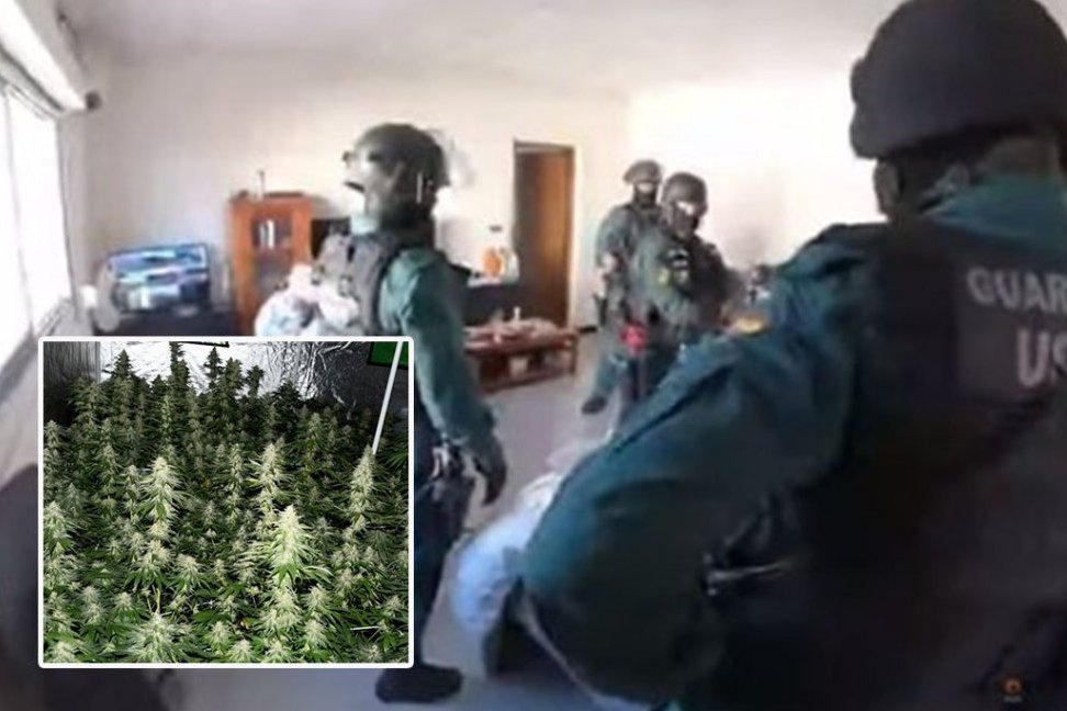 SRBIN UHAPŠEN U VELIKOJ AKCIJI ŠPANSKE POLICIJE: "Palo" sedam osoba, u kućama uzgajali marihuanu, zaplenjen i keš - evo kako su otkriveni!