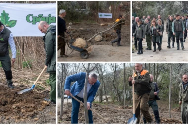 OBELEŽEN SVETSKI DAN ŠUMA U BEOGRADU! Braunović poručio: Šume su naša pluća! (VIDEO)