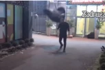 ZVEZDAN ULETEO U HOTEL I UNIŠTIO ANINE STVARI: Obezbeđenje odmah se razjurilo po imanju zbog Slavnića! (VIDEO)