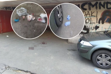 LEKARIMA REKLI DA SU SAMI PALI, A ONDA PRIZNALI SVE! ONI SU UČESTVOVALI U TUČI: Novi detalji krvavog masovnog obračuna navijača na Novom Beogradu (FOTO)