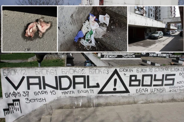 PAŠĆE MRTVA GLAVA! VANDALI NAJAVILI OSVETU: Partizanovci se ne smiruju nakon krvavog obračuna na Novom Beogradu (FOTO/VIDEO)