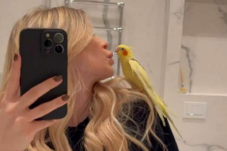 Dom Đorđa Đokovića i Saške Veselinov