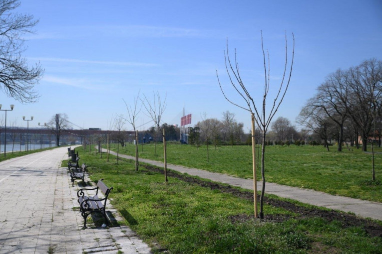 Akcija "Za šumu u tvom kraju"