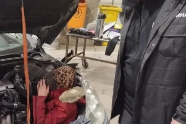 CARINICI NA GRADINI PRONAŠLI ŽENU U HAUBI! Nerealna scena na graničnom prelazu